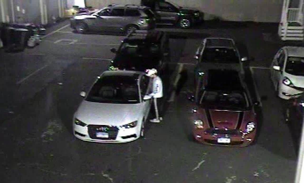 The Norwalk Police Department is asking the public's help in finding this suspect who burglarized a car.