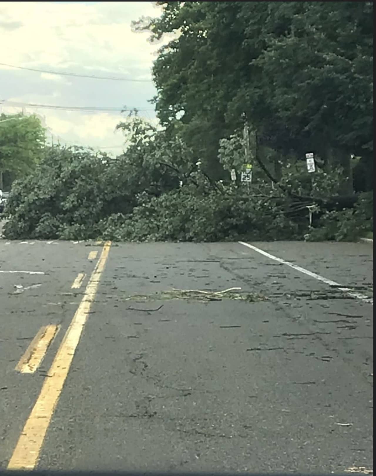 Roadways remain blocked due to numerous trees down.