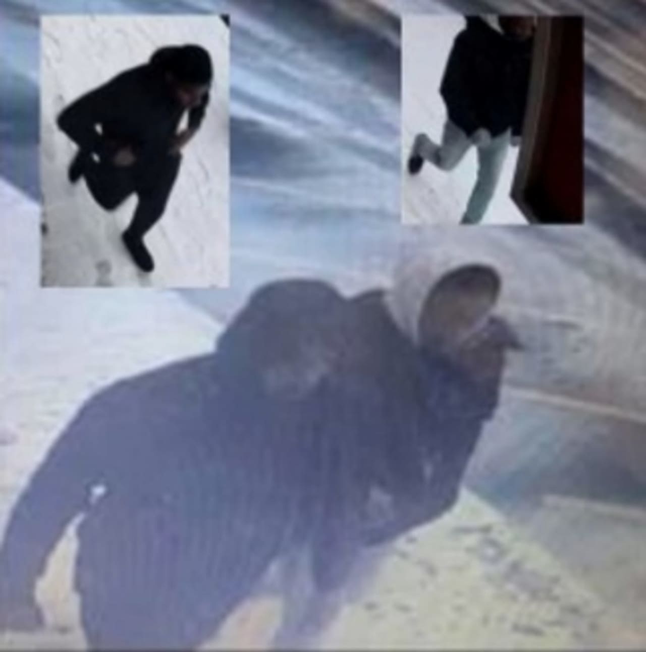 Two individuals stole personal property from a victim near 2 Park Place on Jan. 18, police say.