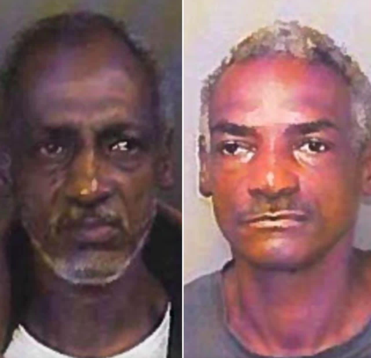 Virgil Green 55, and Darryl Green, 52, are each facing a charge of burglary for the Nov. 17 incident.