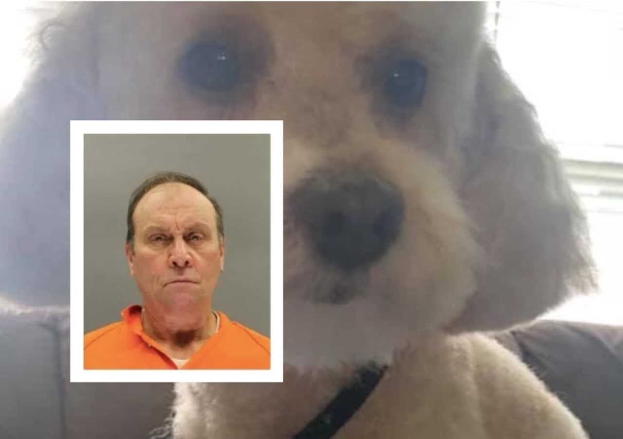 William Stroemel was sentenced to five years in state prison for shooting Toby, a pom-poodle mix, in the head, killing him, authorities in Burlington County said.