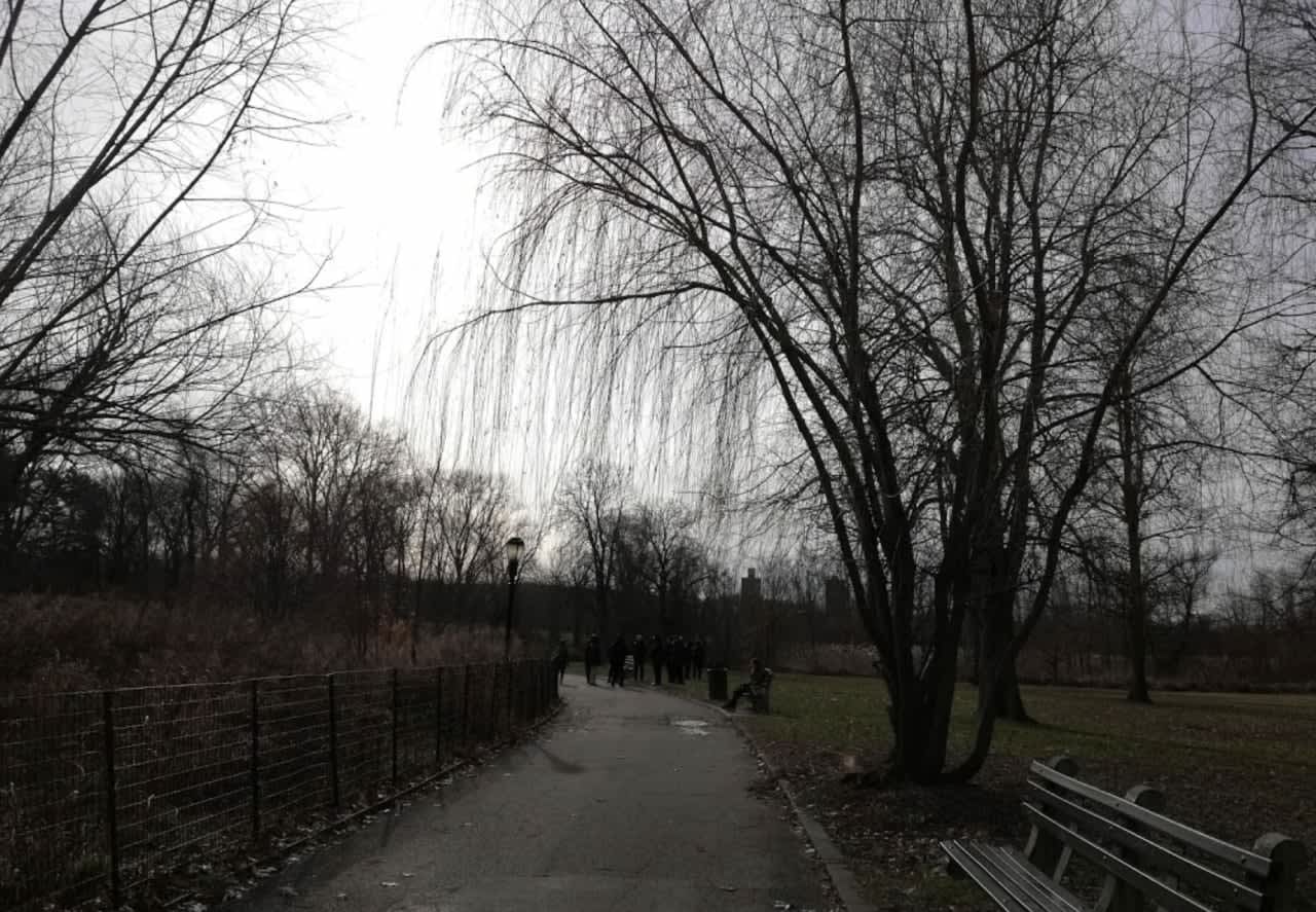 Kissena Park, the area of the murder.