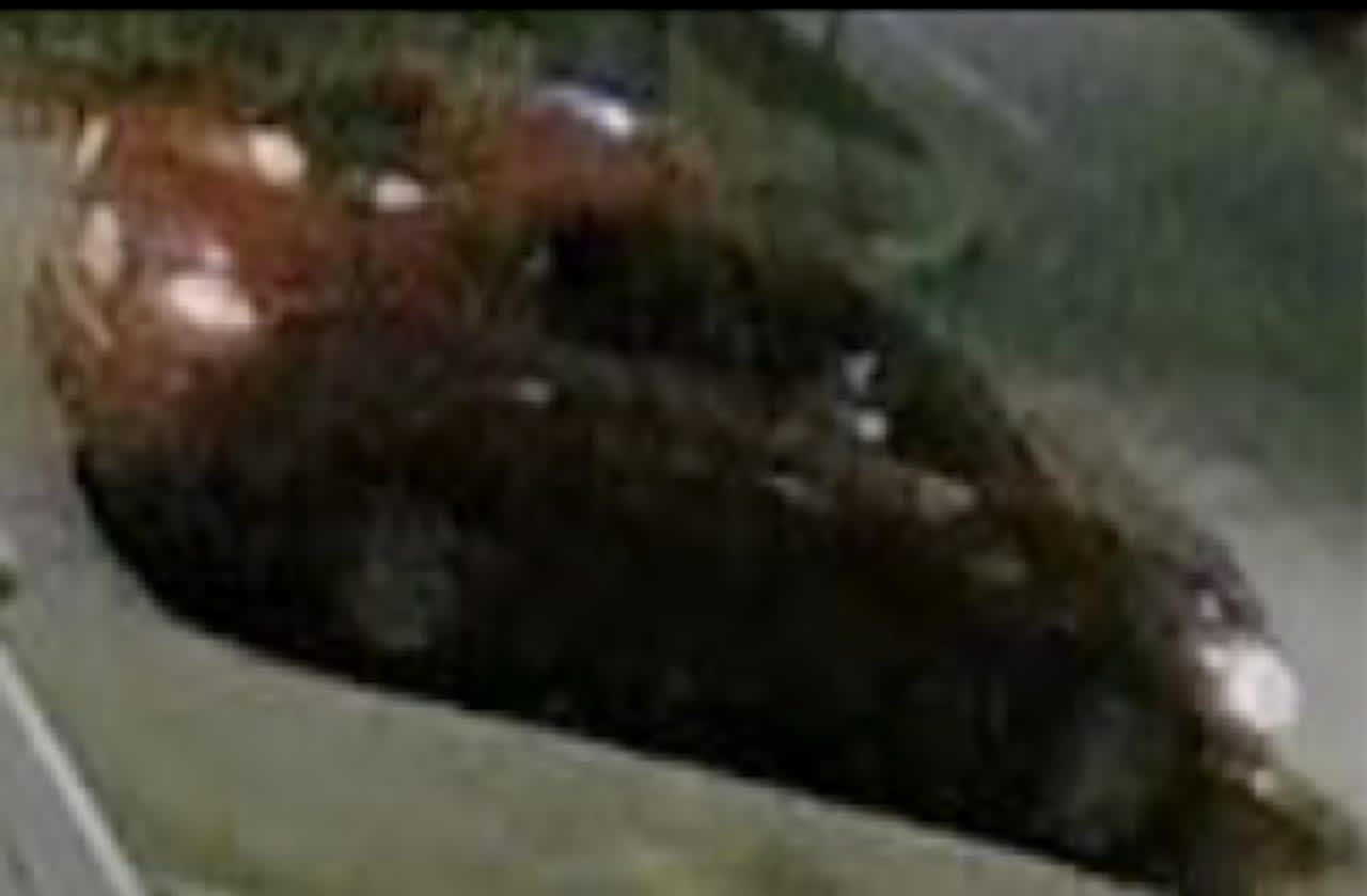 Police investigators in Nassau County have released a photo of a suspect's vehicle who assaulted a woman.
