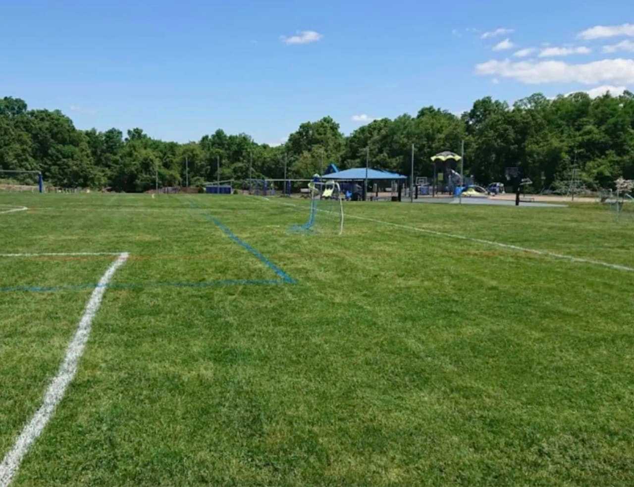 The area where the body was found.