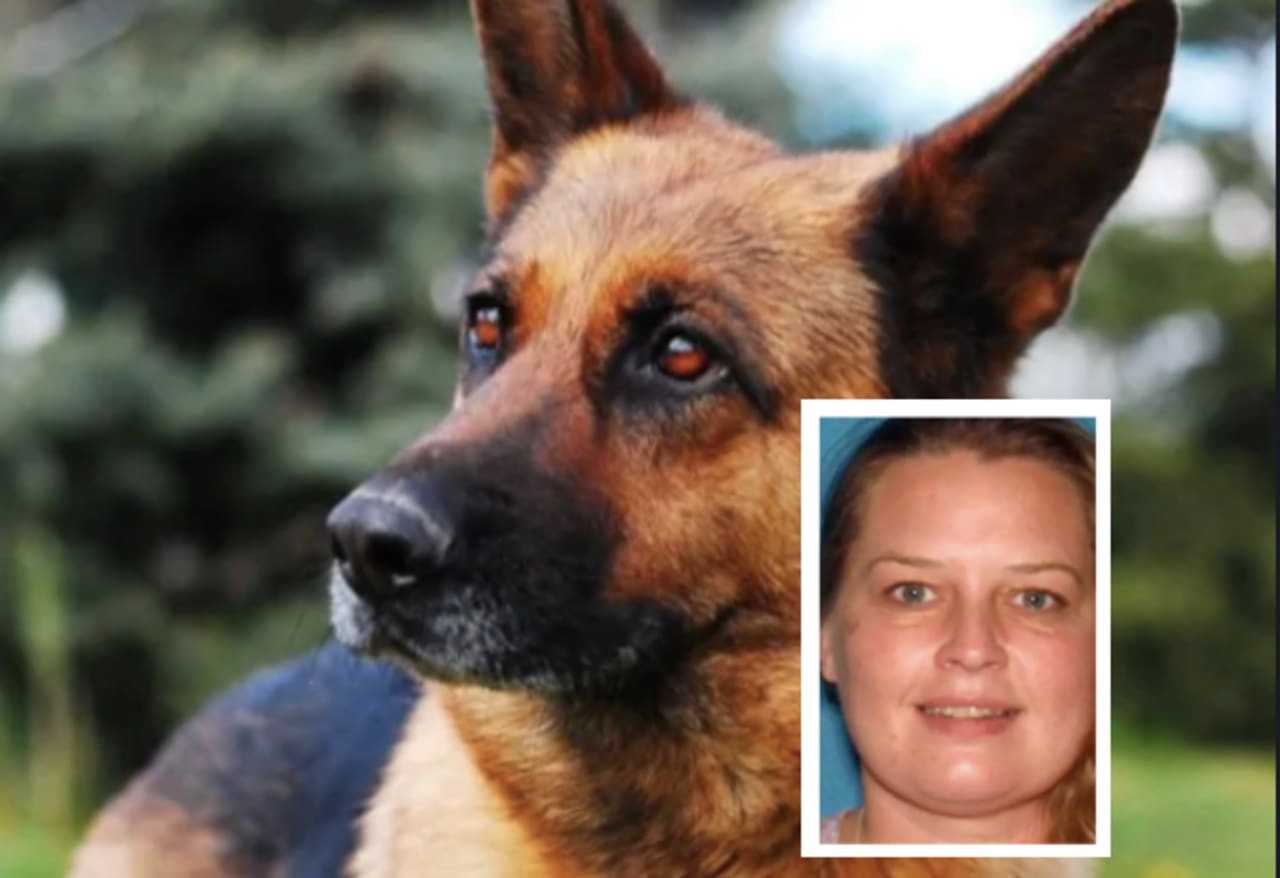 German Shepherd stock photo/Jodi Wozniak