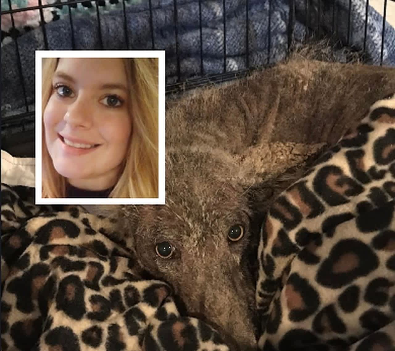 Experts Baffled By Mystery Animal Who Showed Up At PA Woman's Home | Adams  Daily Voice