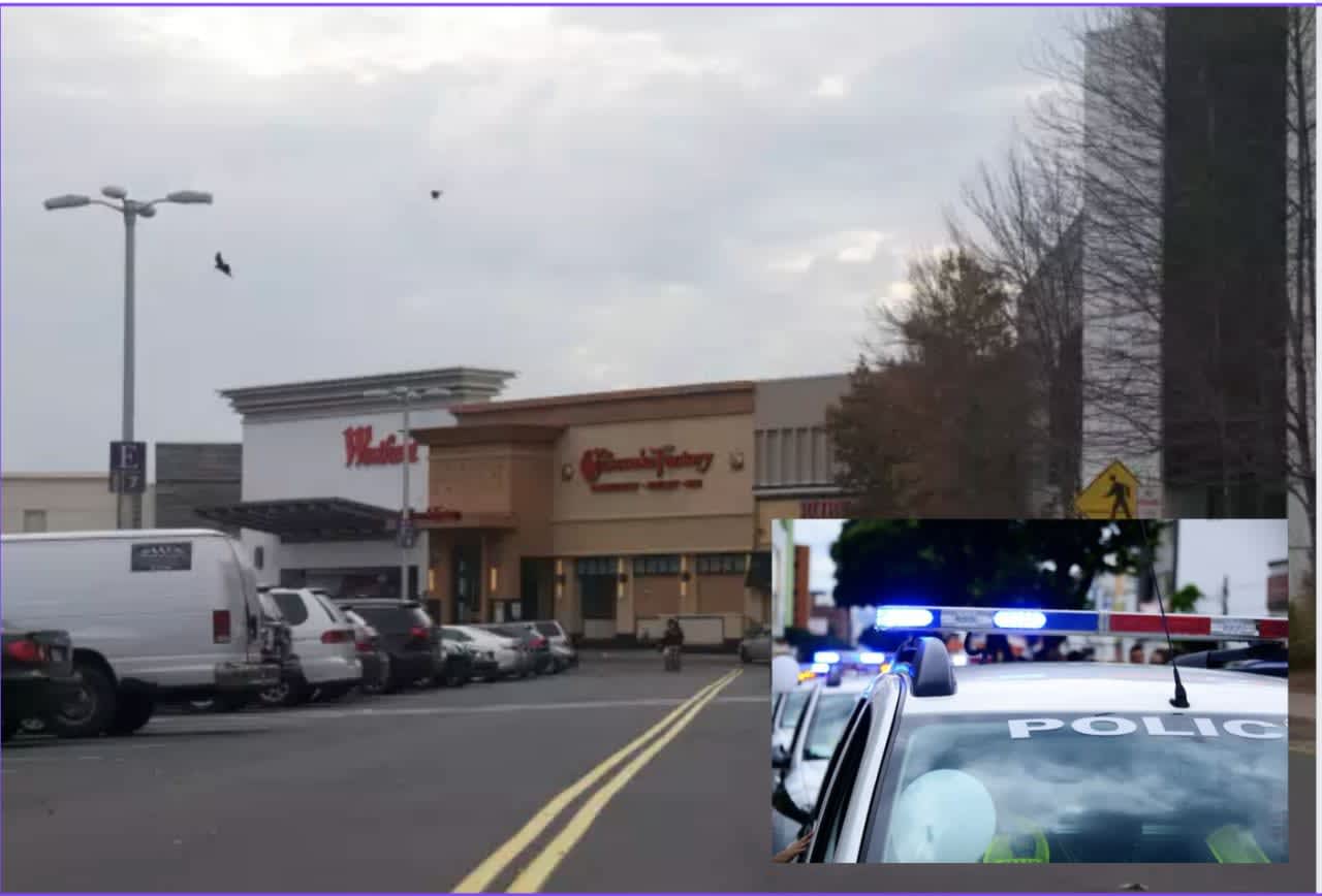 A Bridgeport man was nabbed after allegedly threatening guards at the Trumbull Mall with a knife when he was caught shoplifting.