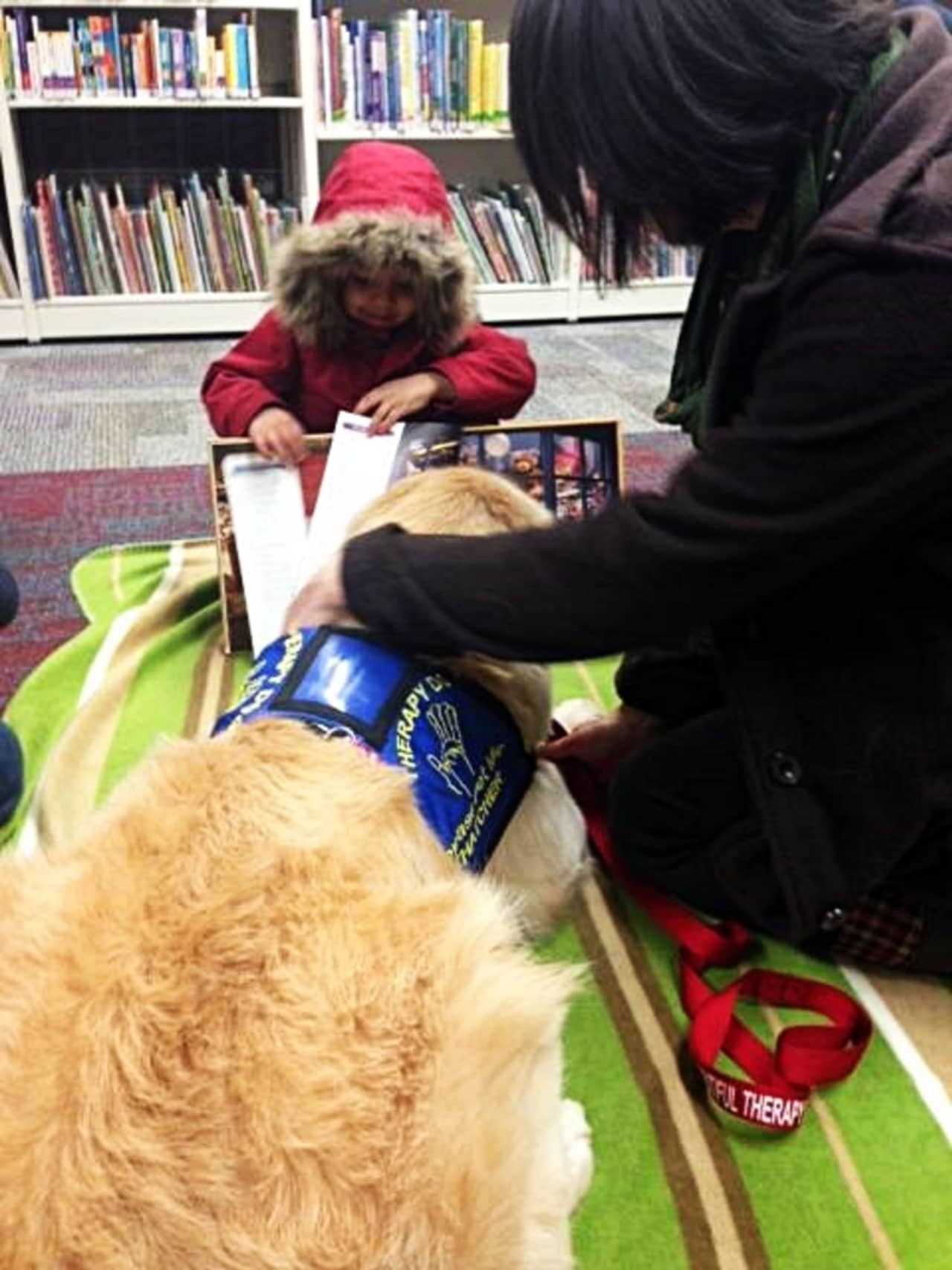 Folks can come read to or visit with Thatcher the Golden Retriever at the Bloomingdale Free Public Library.