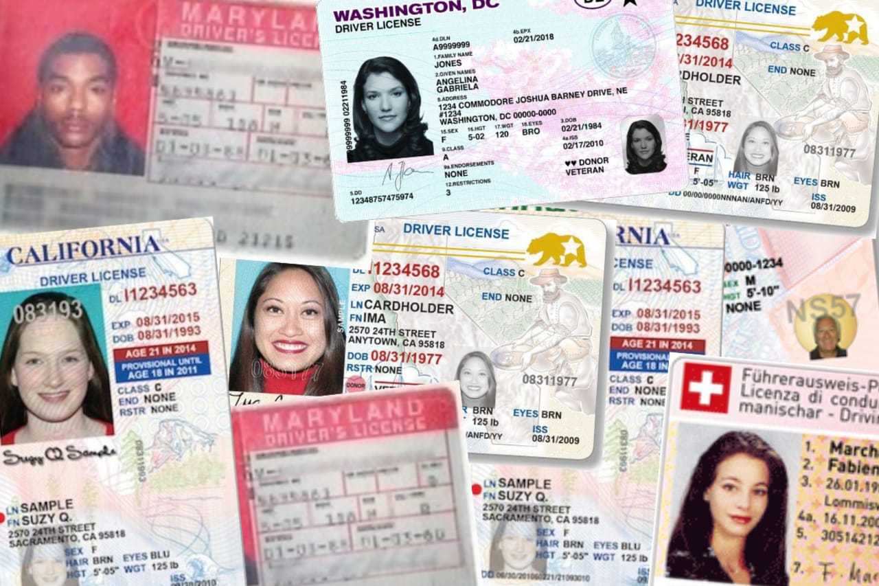 Fake Id Taken At Concert