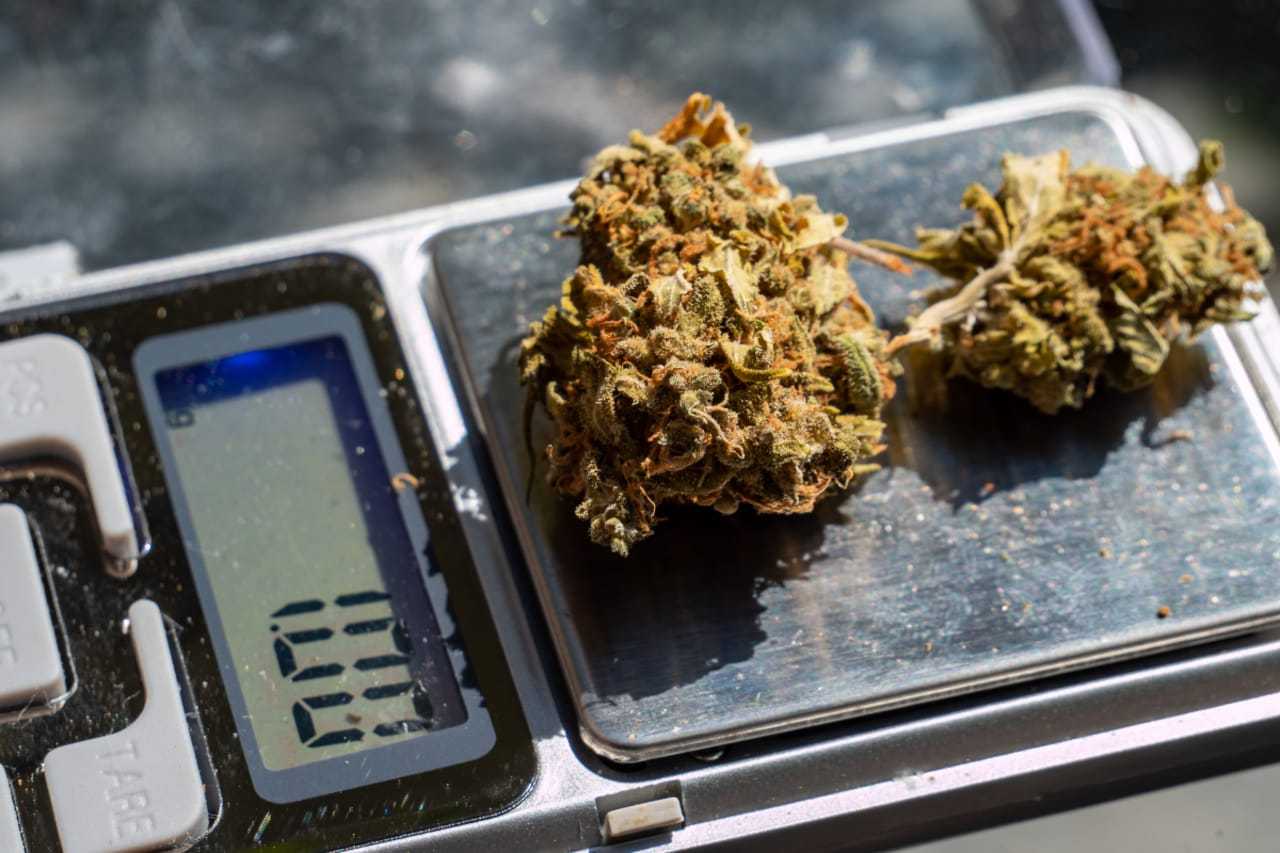 More than a dozen New Yorkers are accused in a massive marijuana trafficking and money laundering ring that spanned across the United States.