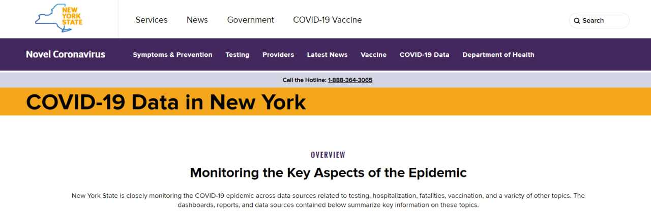 New York State's new COVID-19 data web page