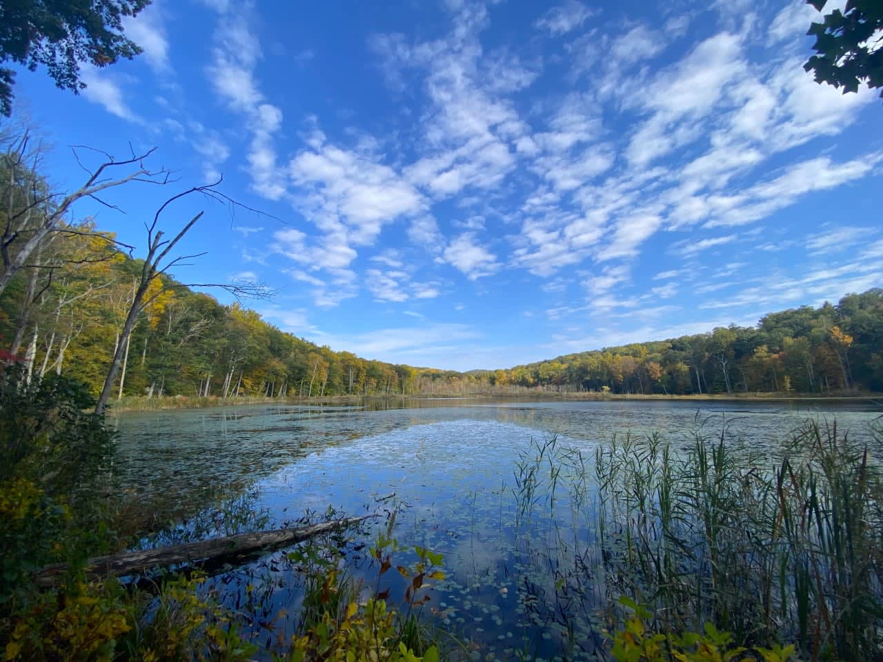 The 174-acre Hudson Valley property that will now be permanently protected features several swamps and ponds, as seen above.