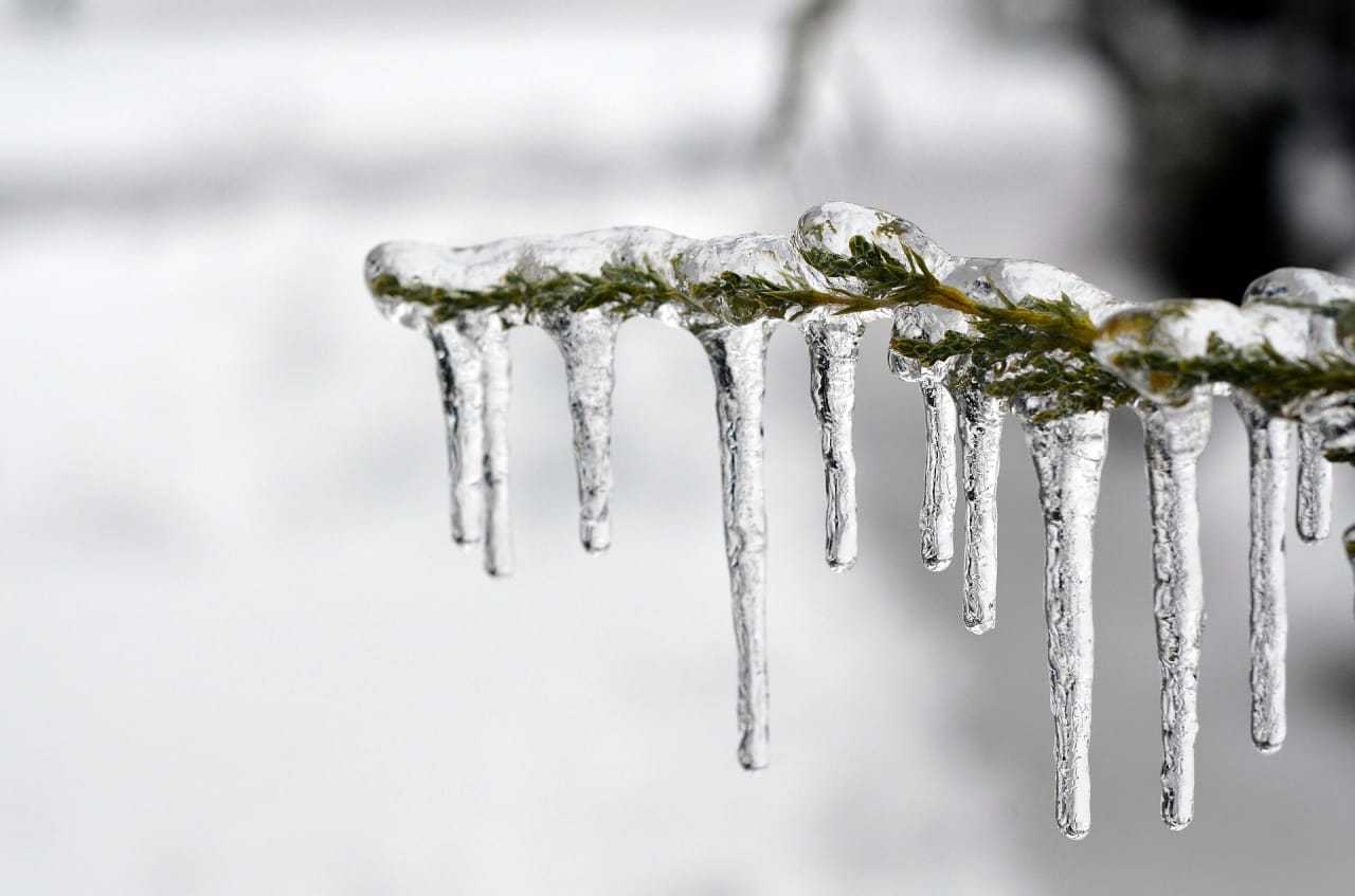 Icicles