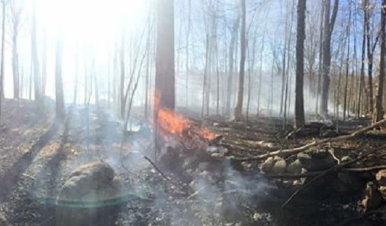 A brush fire in Somers Wednesday threatened several homes and burned up five acres before it was put out.