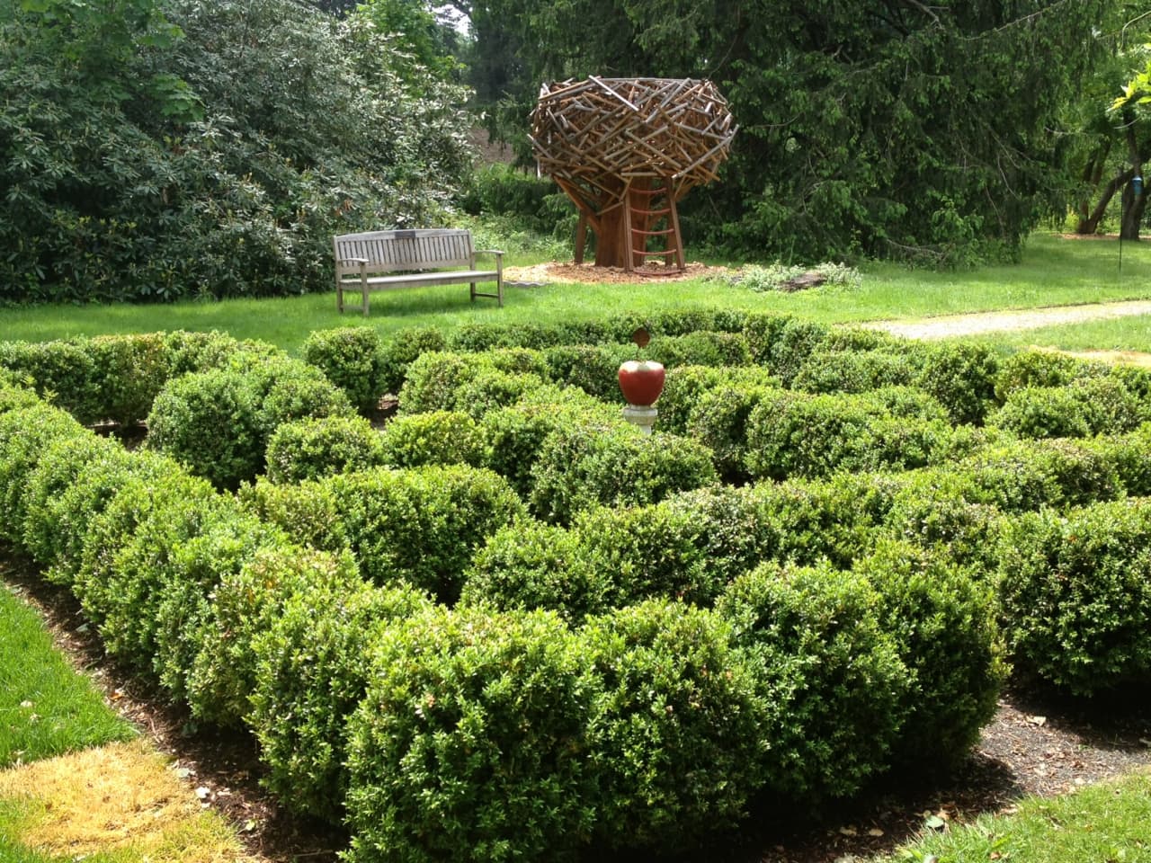 Kids and parents will be able to make their way through this maze of Buxus sempervirens at the New Canaan Nature Center. 