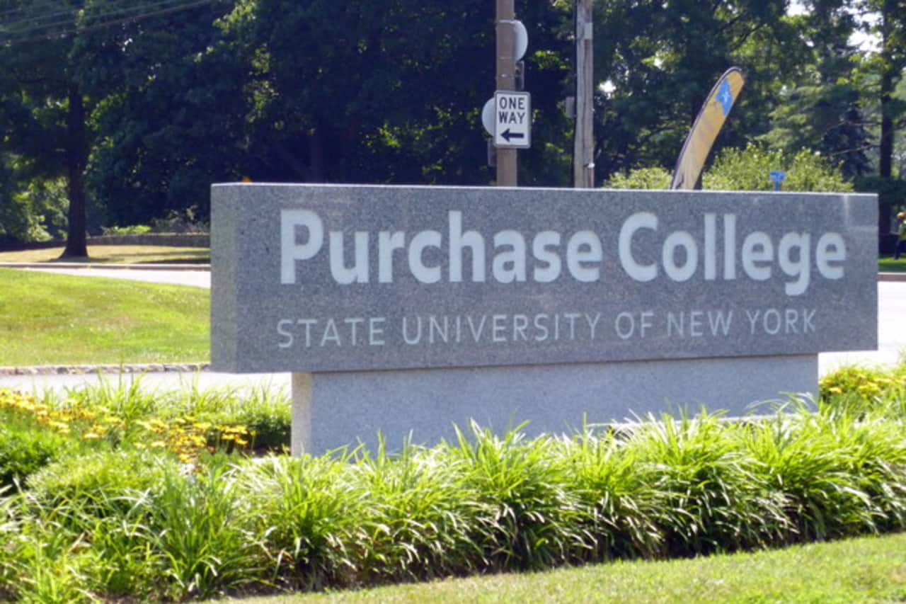 SUNY Purchase will offer classes at its fifth annual appraisal camp.