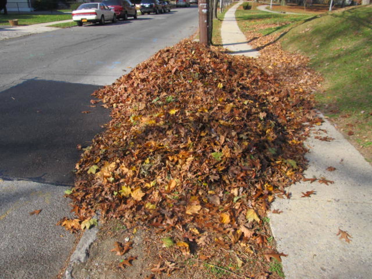 The Town of Harrison will begin curbside leaf pickup beginning Tuesday, Oct. 15. 