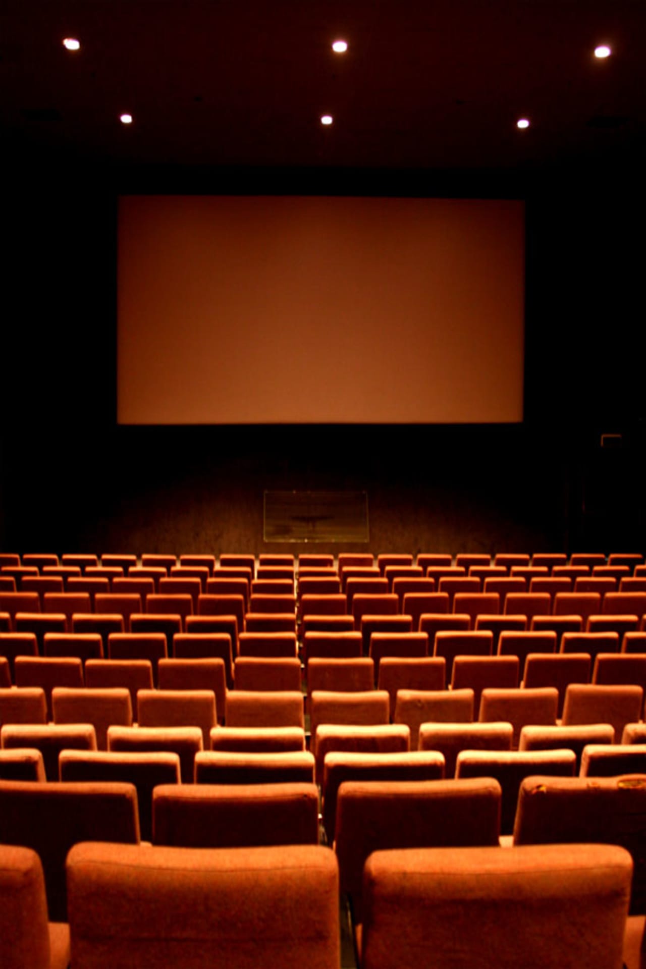 See the movies playing in New Canaan this weekend.