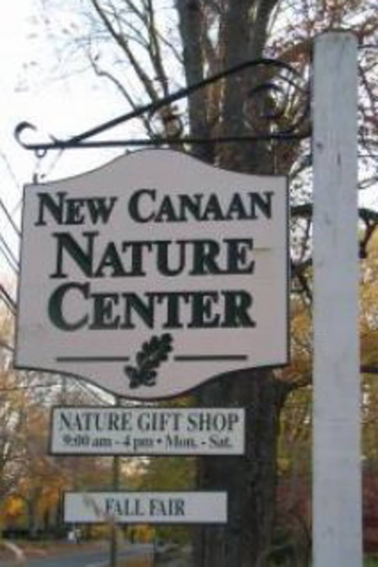 Join the New Canaan Nature Center on Nov. 30 for a hike to work off some of Thanksgiving dinner.