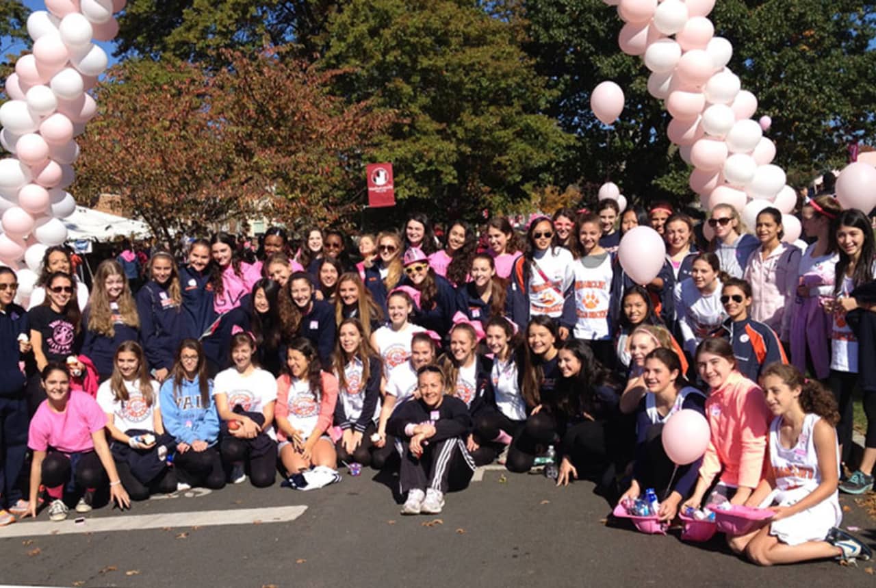 Members of the Briarcliff High School community participated in the Making Strides Against Breast Cancer Walk recently. 