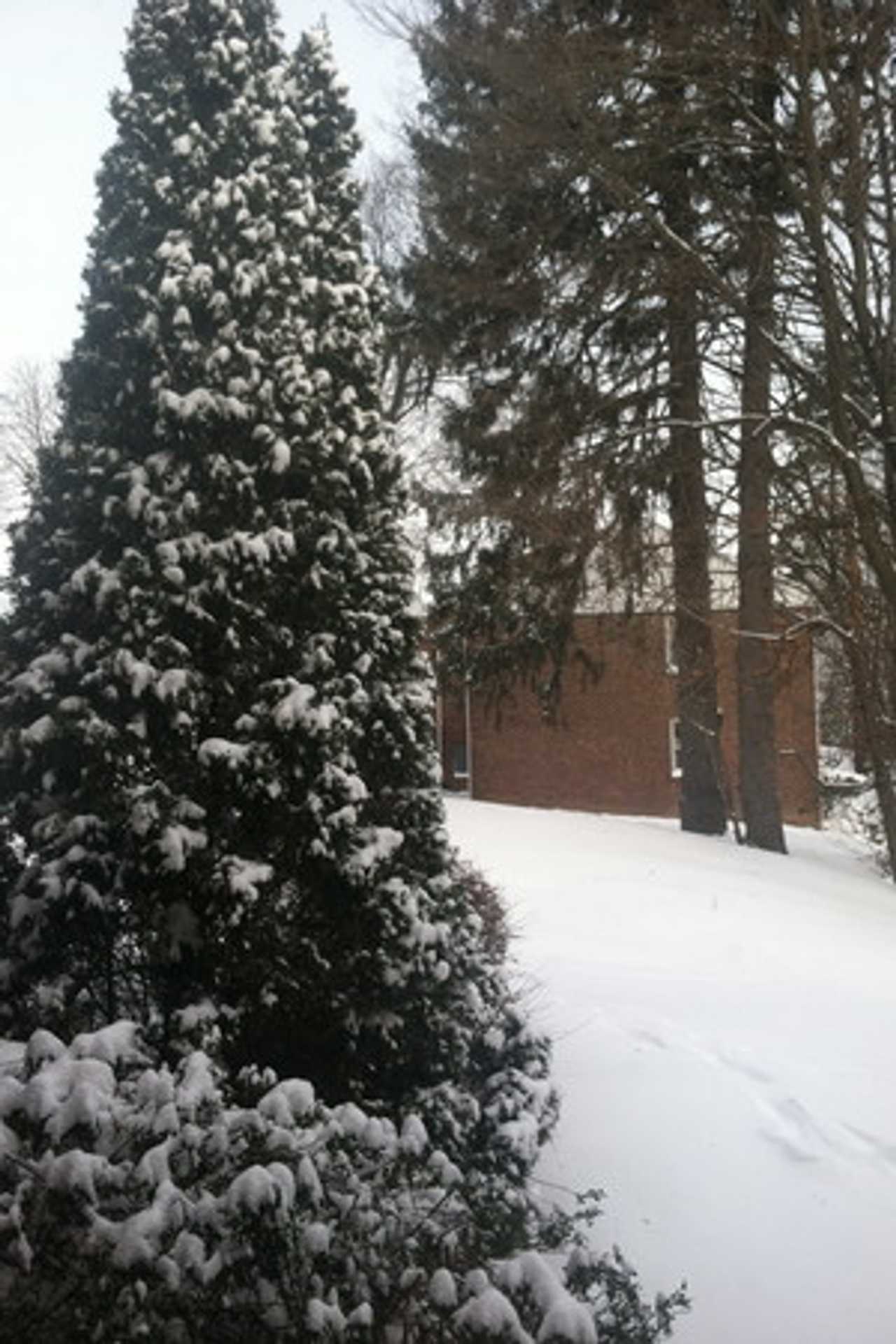See the stories that topped the news in Briarcliff this week