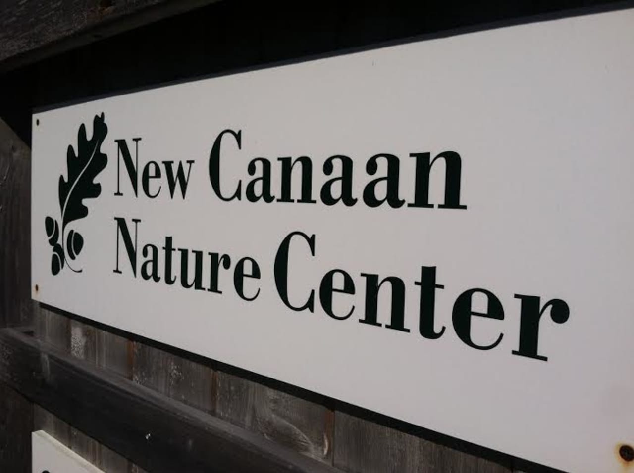New Canaan will proclaim it Earth Day at noon Tuesday at the Visitors Center at the Nature Center. It is located at 144 Oenoke Ridge.