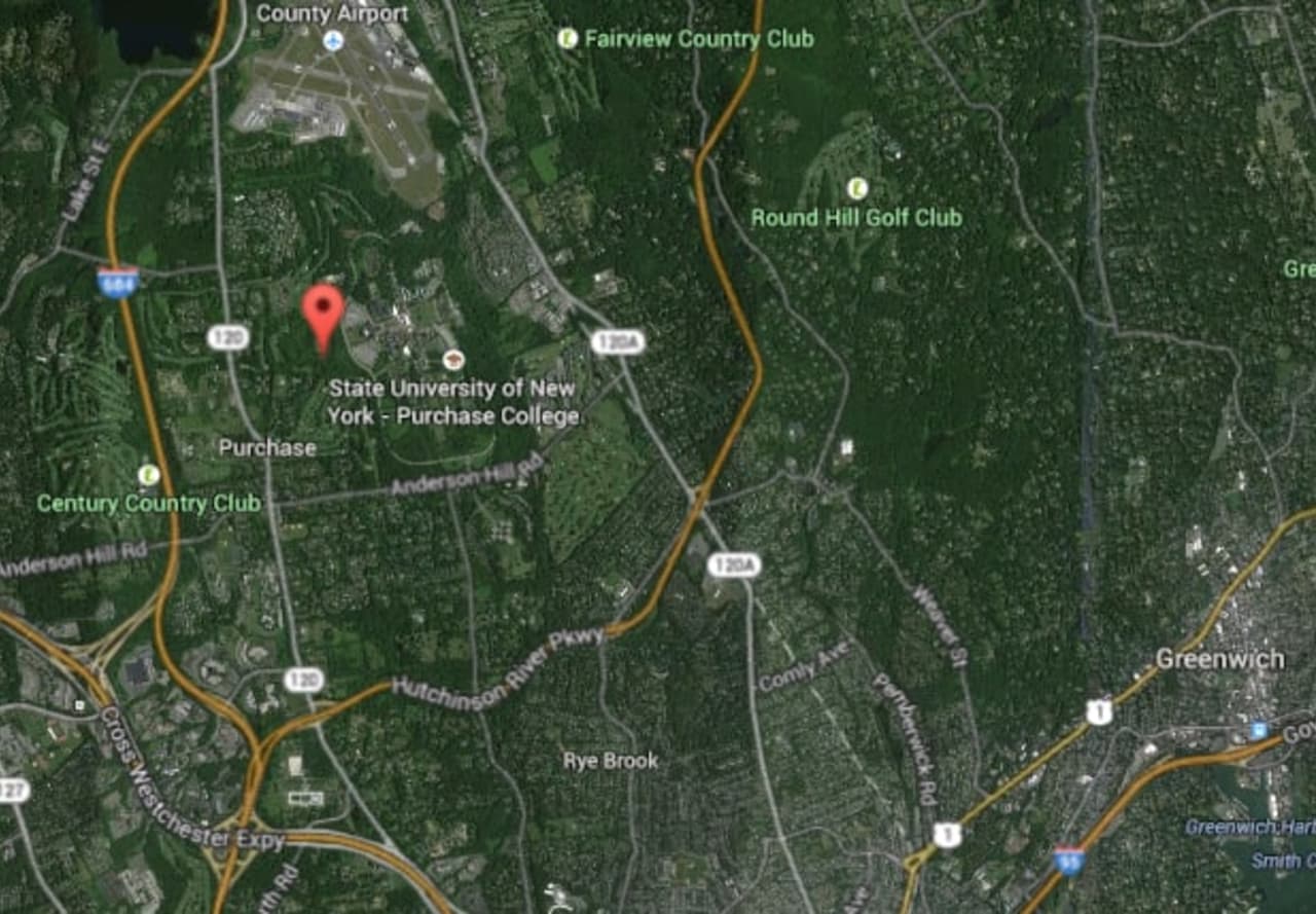 The area where a small plane crashed Friday morning, with the red marker noting Cottage Avenue near Route 120.