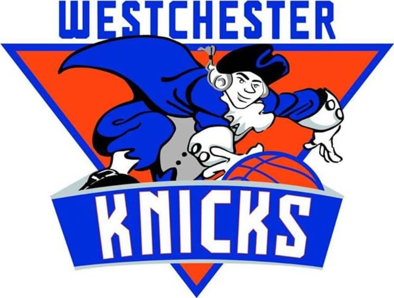 The Westchester Knicks have acquired 16 players for the 2013-2014 season. 