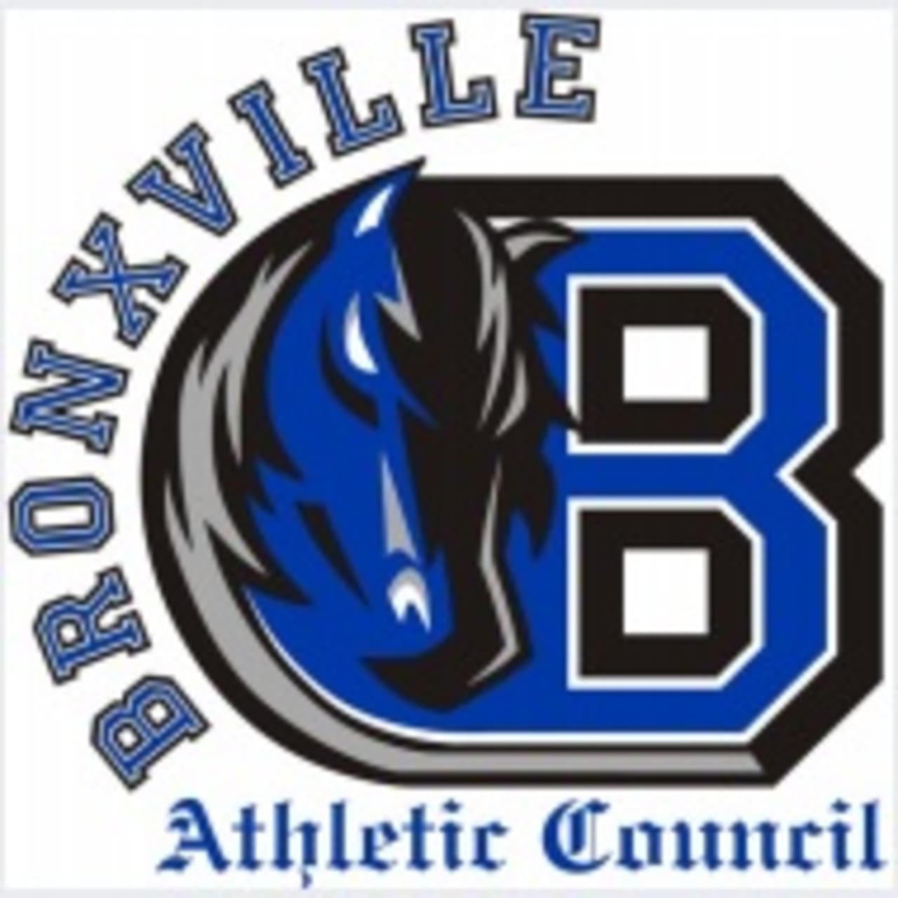 The Bronxville High School Athletic Council and basketball programs invites elementary and middle schools to join in the fun at a girls varsity basketball game. 