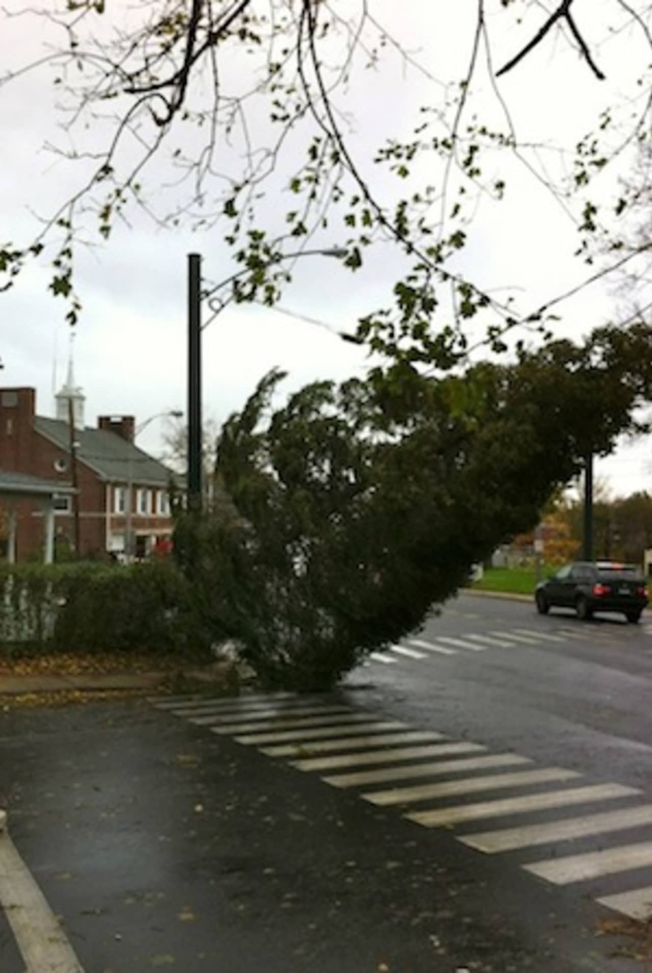 Hurricane Sandy drove high winds through New Canaan, toppling trees and power lines. 