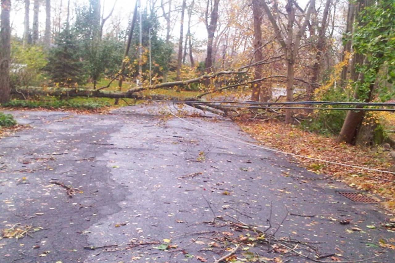Hurricane Sandy toppled this tree in the vicinity of Belden Hill Road in Wilton.