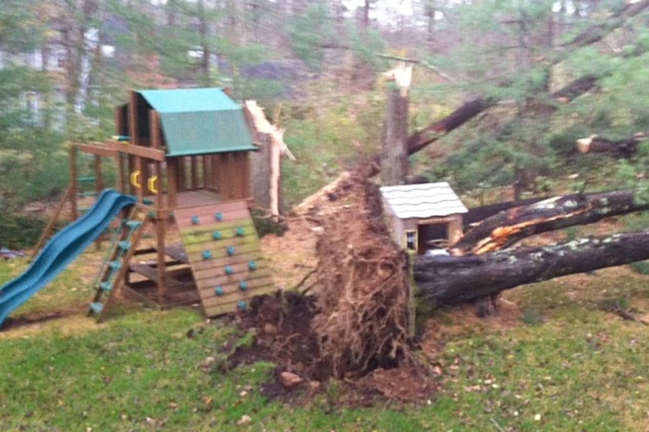 A tree almost crushed this backyard playground in New Canaan. 
