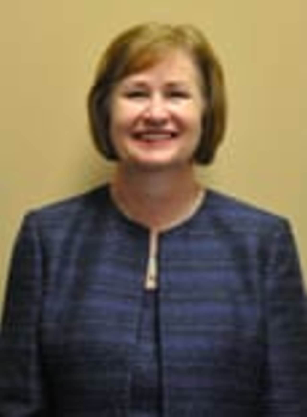 Anita Gliniecki has been named the interim president of St. Vincent College in Bridgeport.