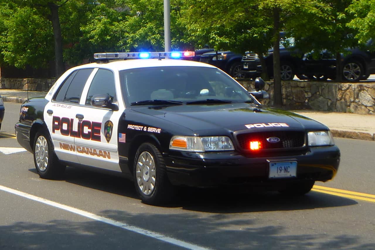 New Canaan Police arrested a teen and his mother's boyfriend after they got in a fight.