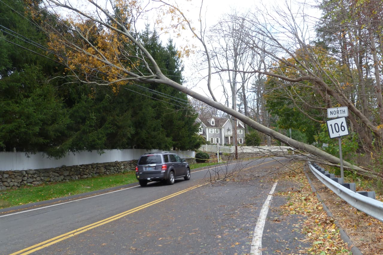 Hurricane Sandy caused plenty of damage throughout New Canaan, knocking down trees and knocking out power for nearly two weeks. 