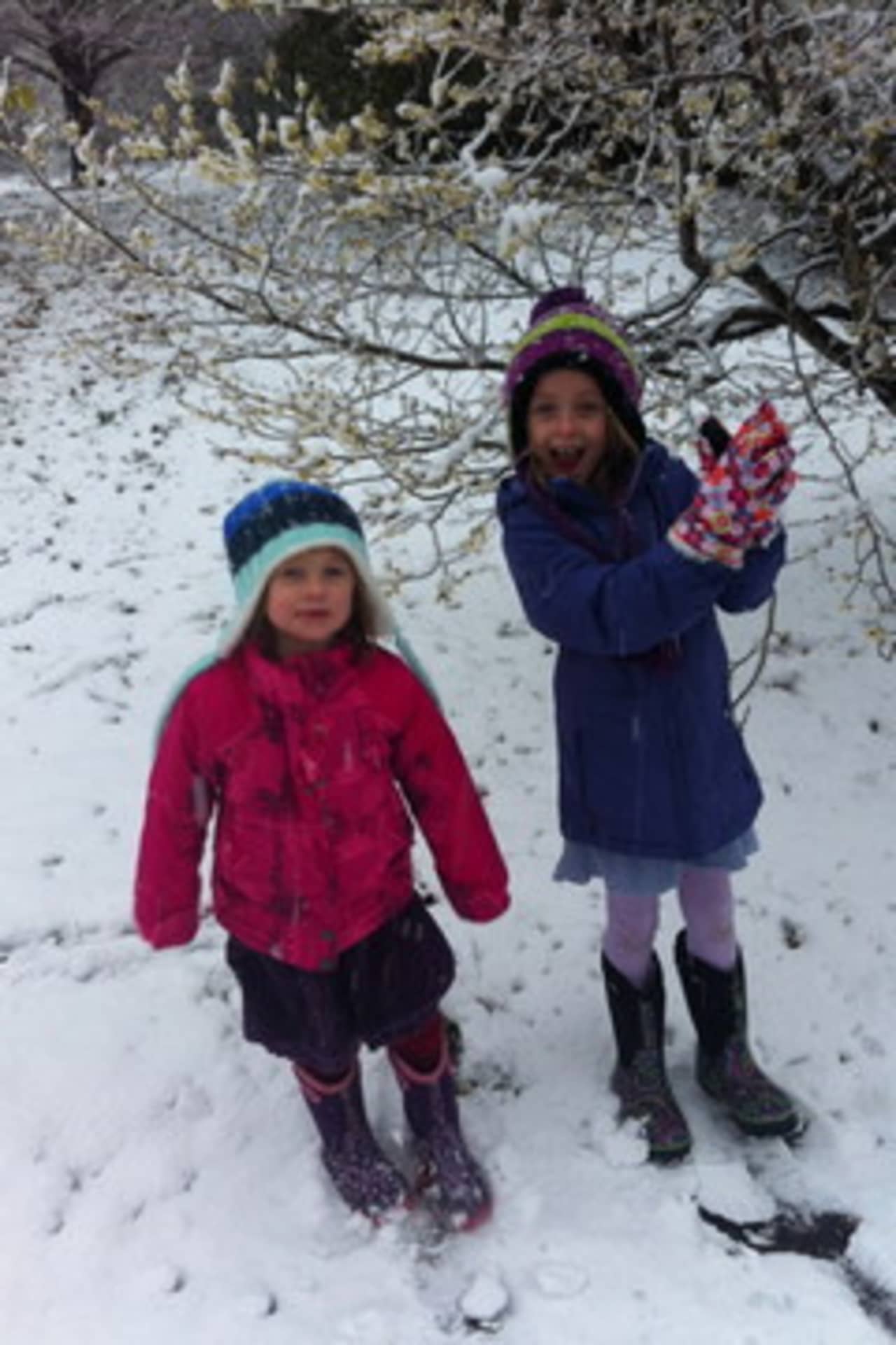 Sisters Charlotte and Isabel Torgerson enjoy the snow at the New Canaan Nature Center during last November's storm. 