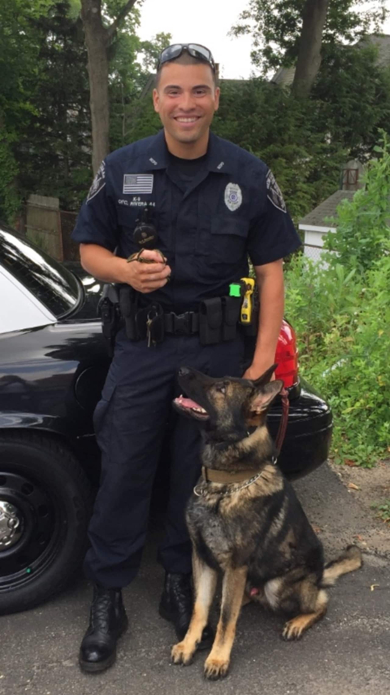 New Canaan police Officer David Rivera, and K-9 Apollo, have worked together on narcotics and missing child cases. The police department is trying to raise $100,000 for a second police dog and its training and equipment.