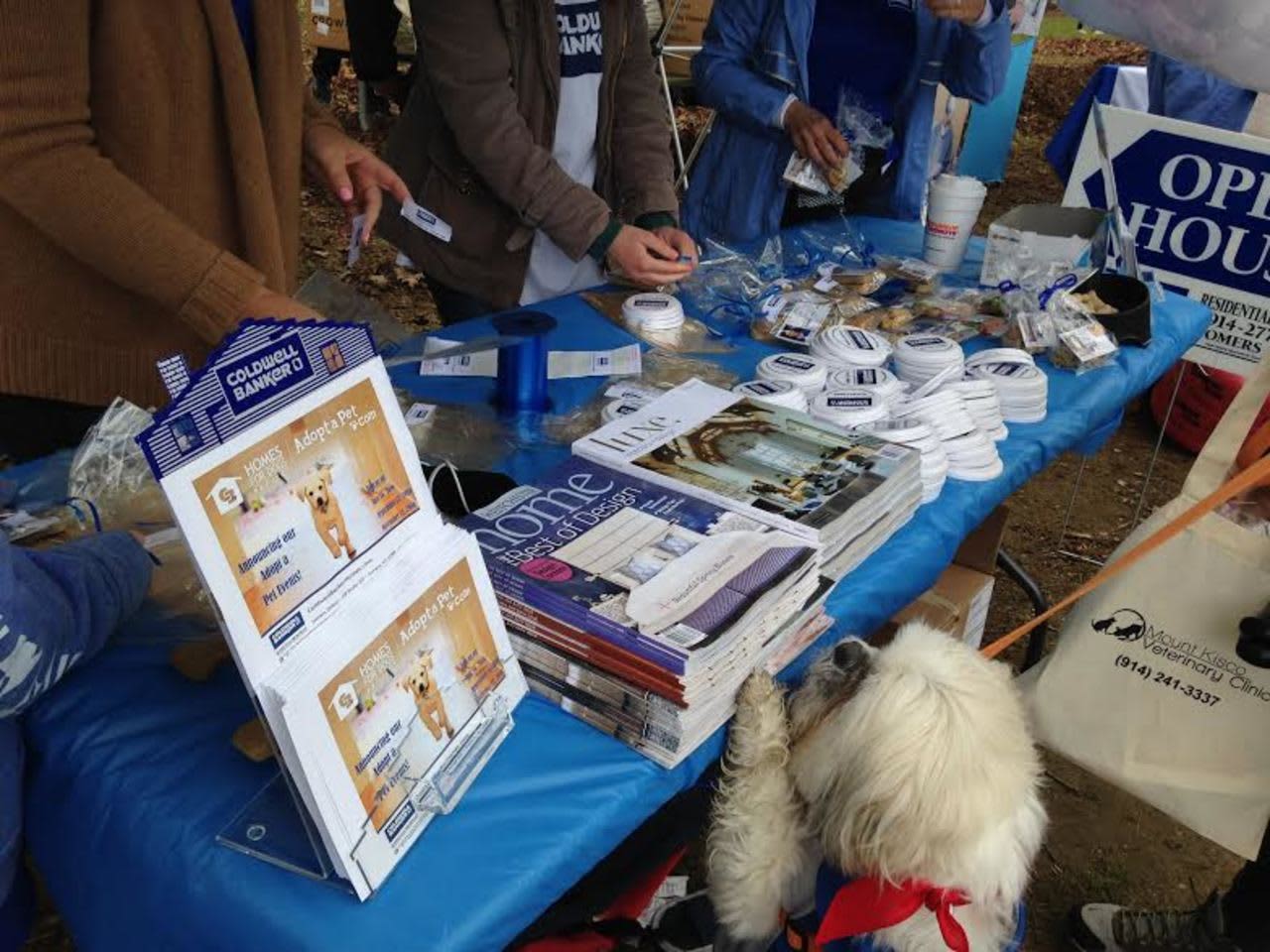 Coldwell Banker Residential Brokerage was a Gold sponsor for the Westchester SPCA Dog Walk in FDR Park in Yorktown on May 5.