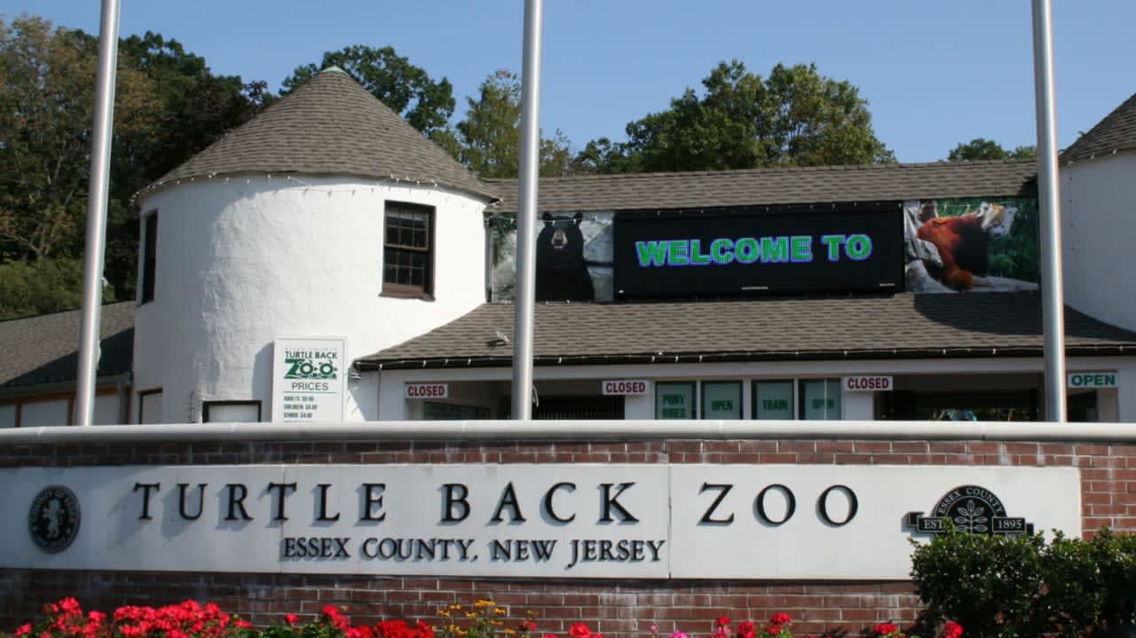Turtle Back Zoo in West Orange.
