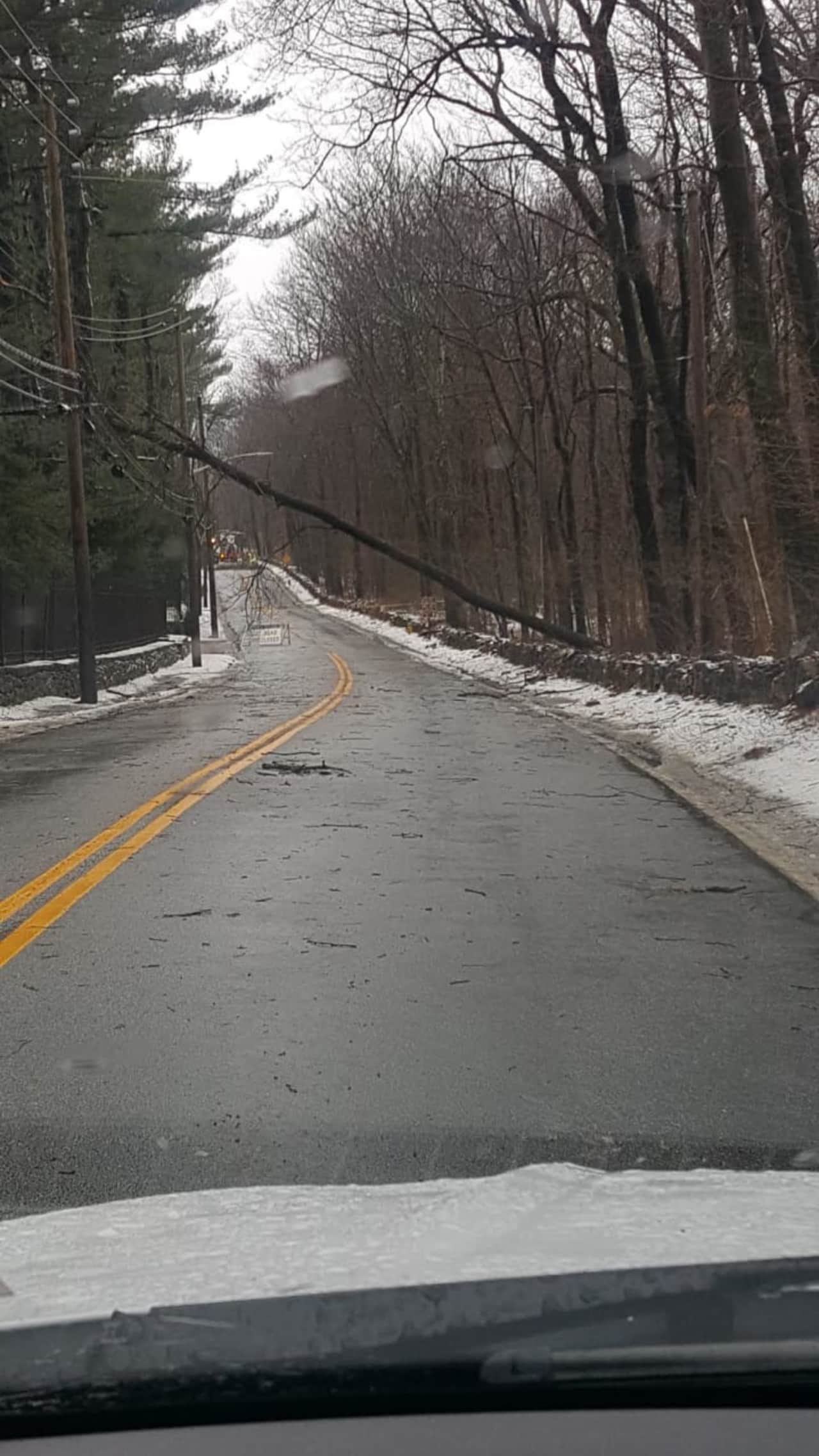 Hundreds of trees and power lines have been felled during the Nor'easter in the Hudson Valley.