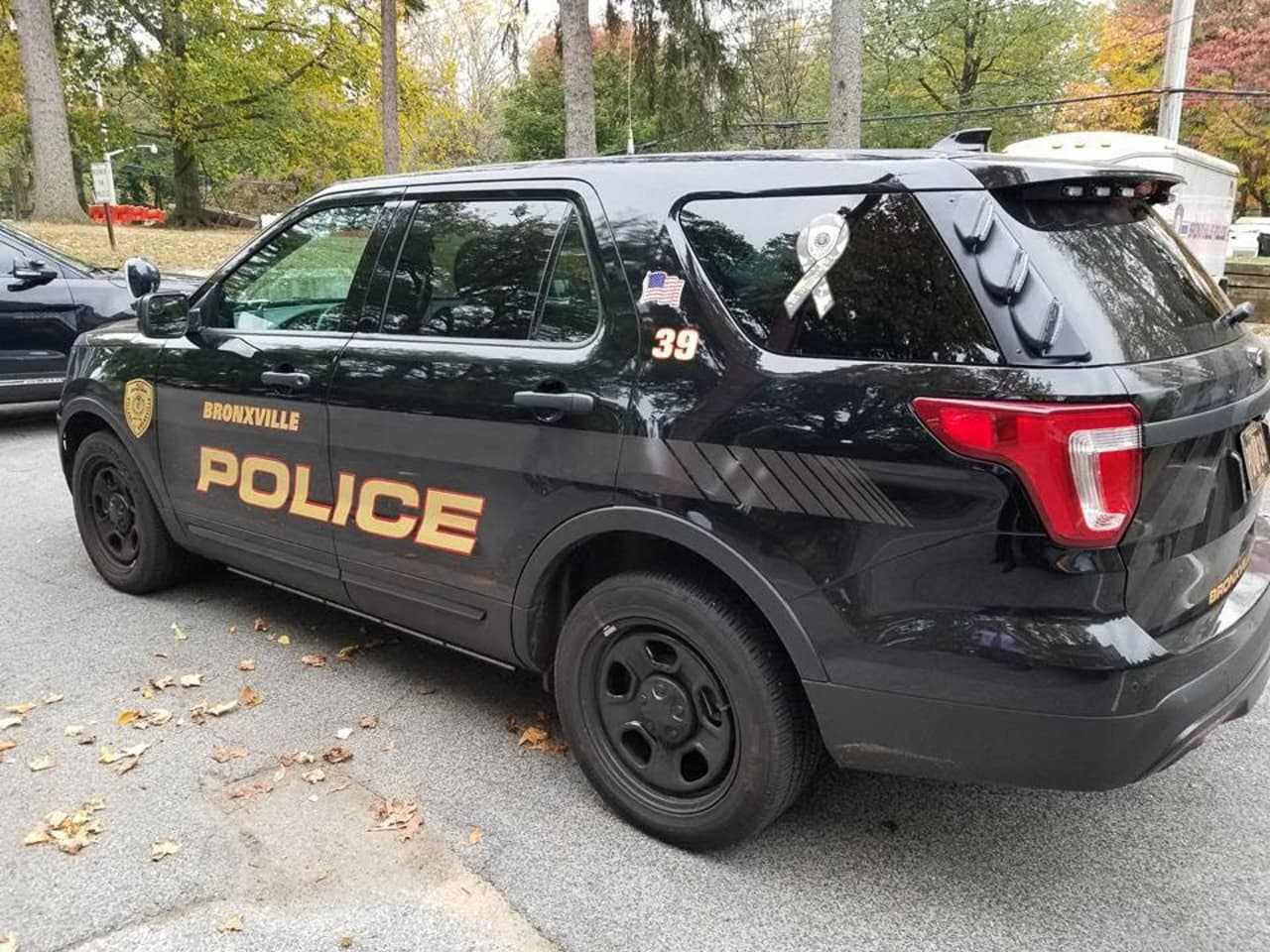 Driver With Multiple License Suspensions Busted By Bronxville Police ...