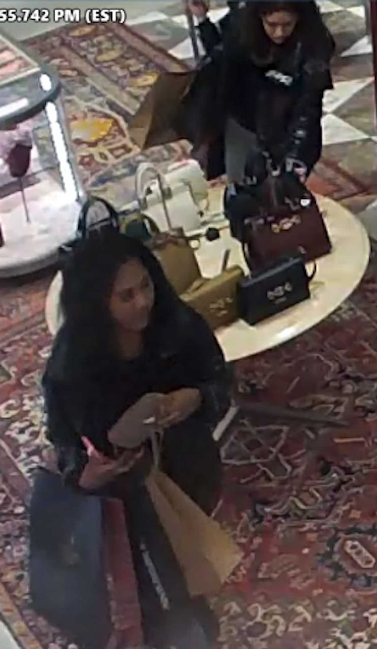 Women Wanted For Stealing $790 Gucci Wallet From Long Island Saks Fifth  Avenue | Nassau Daily Voice