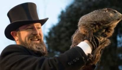 What Was Punxsutawney Phil's Prediction, More Winter Or Is It Time For Spring? (Video)