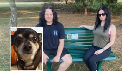Danzig Bass Player, Wife Dedicate Bench In NJ Park In Memory Of Beloved Chihuahua