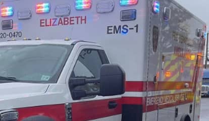 Elizabeth Dog Fighting Accident Leaves 2 Pit Bulls Dead, 3 Women Hospitalized