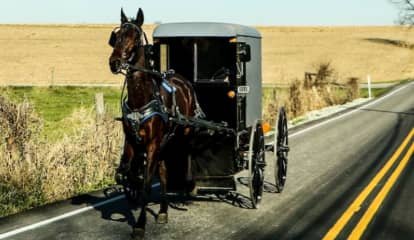 Amish Family Hospitalized, Horse Killed Following Horse-Buggy Crash: Pennsylvania State Police