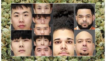 JOINT CUSTODY: 1,750 Pounds Of Pot Seized, 13 Busted In Bergen Over Past Six Weeks