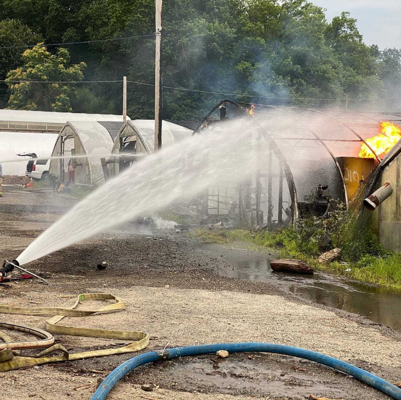 A difficult fire broke out at the Hartsdale Greenhouses.