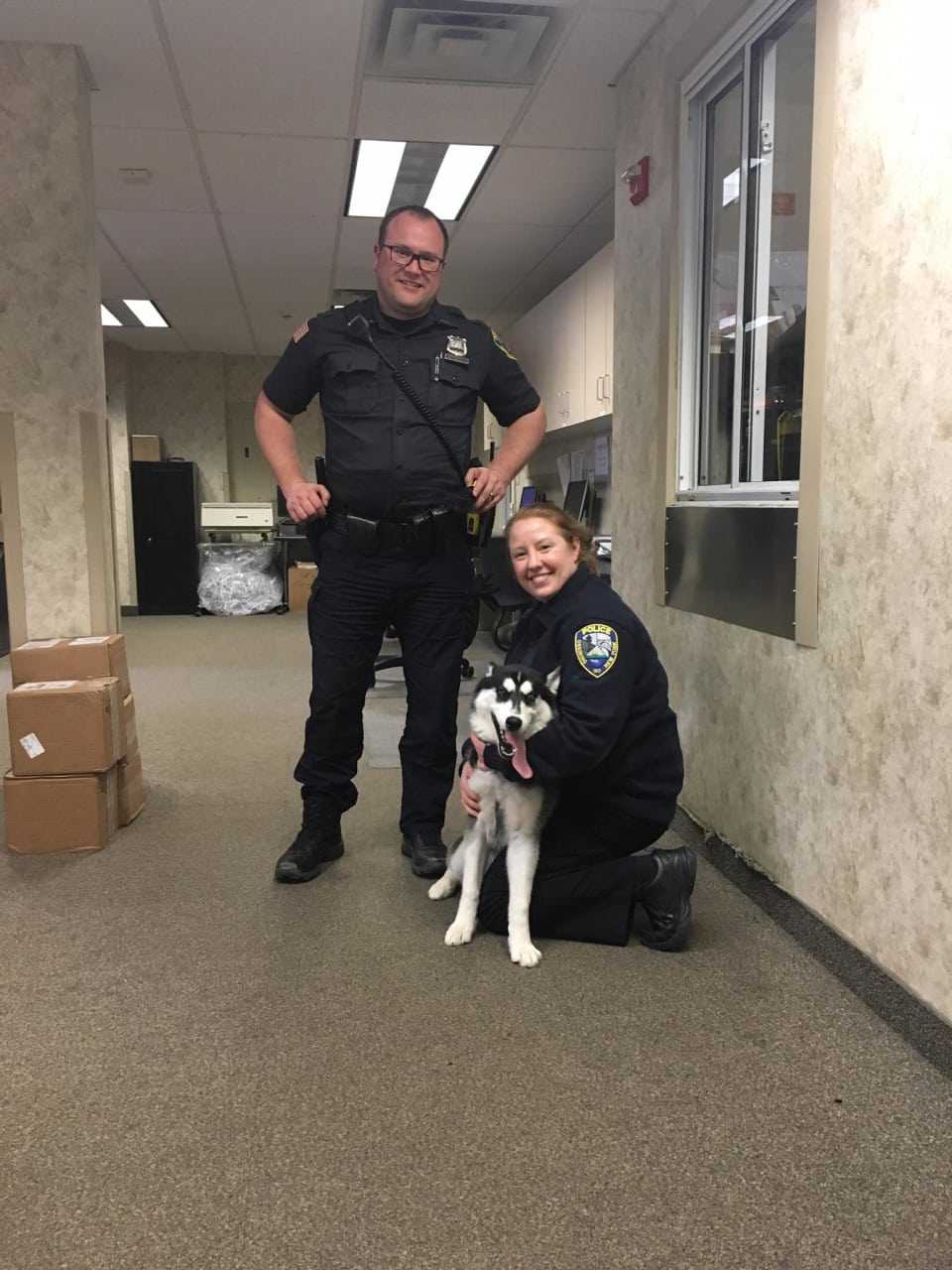 The Ossining Police Department is looking to reunite this dog with its owner.