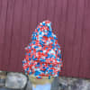 Red, white and blue pride on July 4 at Ferris Acres Creamery in Newtown.